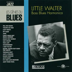 Boss blues harmonica